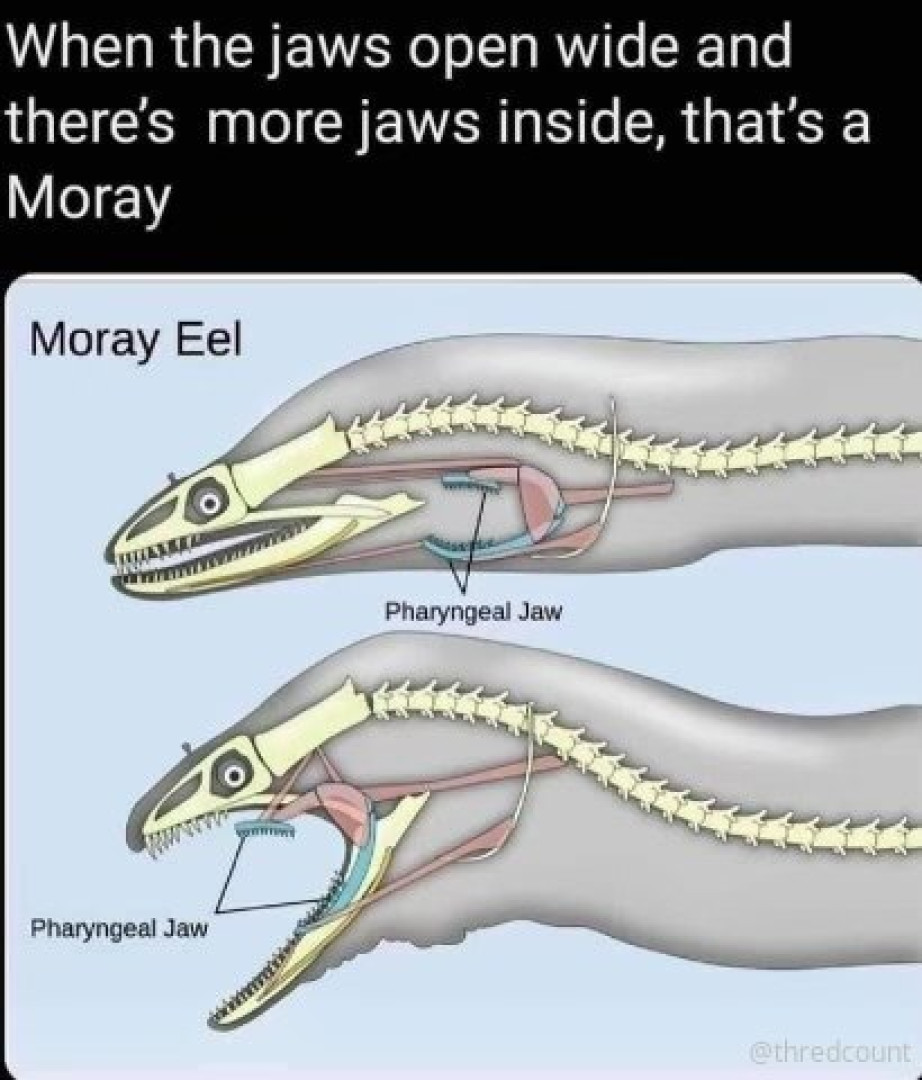 Photo by m4stiff published on August 2,2023 23:19:26 - BestThots