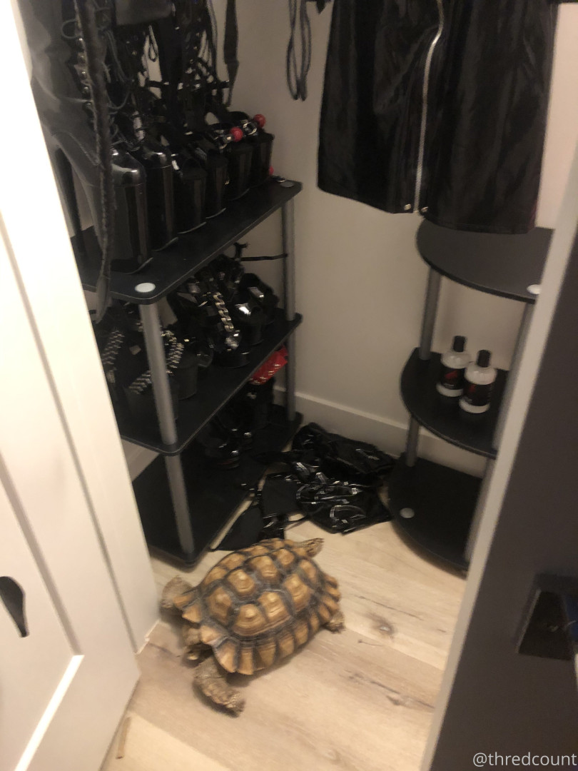 Photo by m4stiff published on August 2,2023 23:22:03 - BestThots