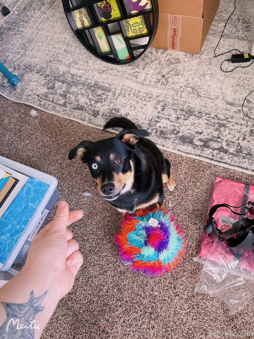 Photo by m4stiff published on August 2,2023 23:30:37 - BestThots