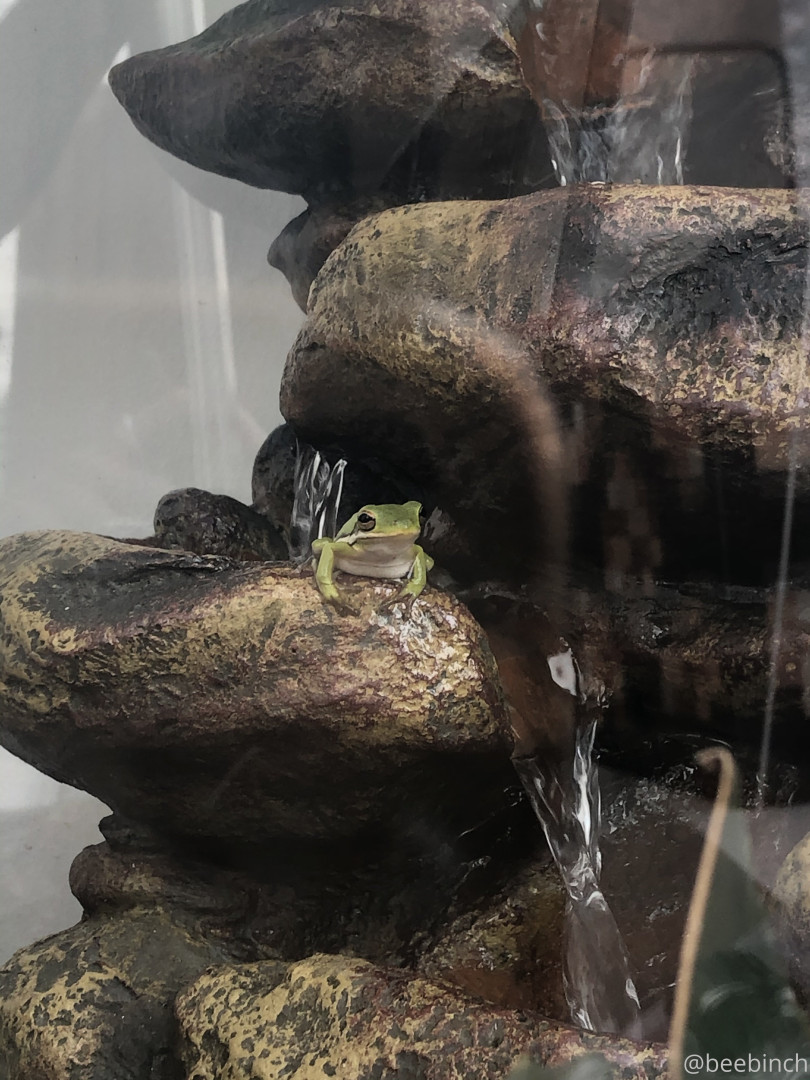 Photo by m4stiff published on August 2,2023 23:31:51 - BestThots