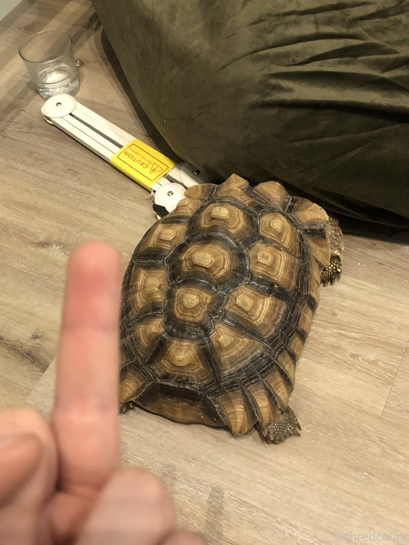 Photo by m4stiff published on August 2,2023 23:35:45 - BestThots