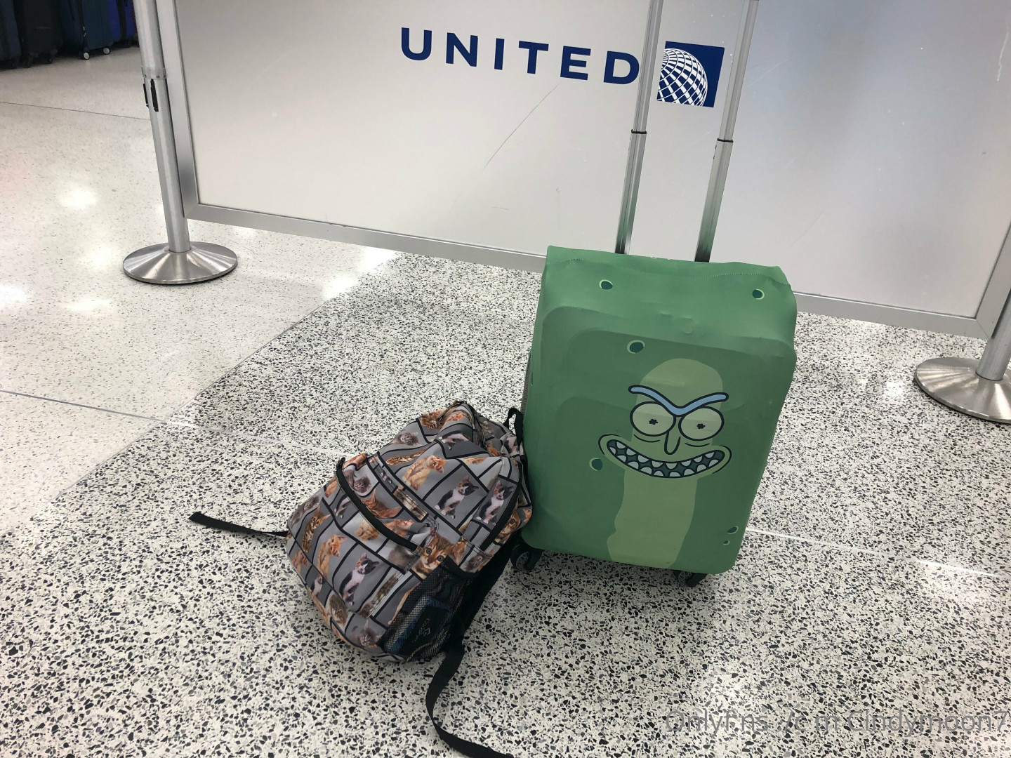 Photo by cindymoon7 published on January 12,2024 03:26:32 - BestThots