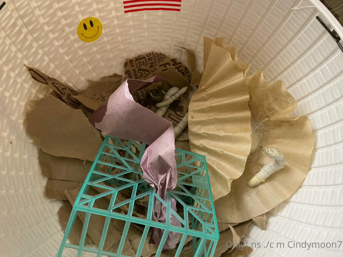 Photo by cindymoon7 published on January 12,2024 03:26:36 - BestThots