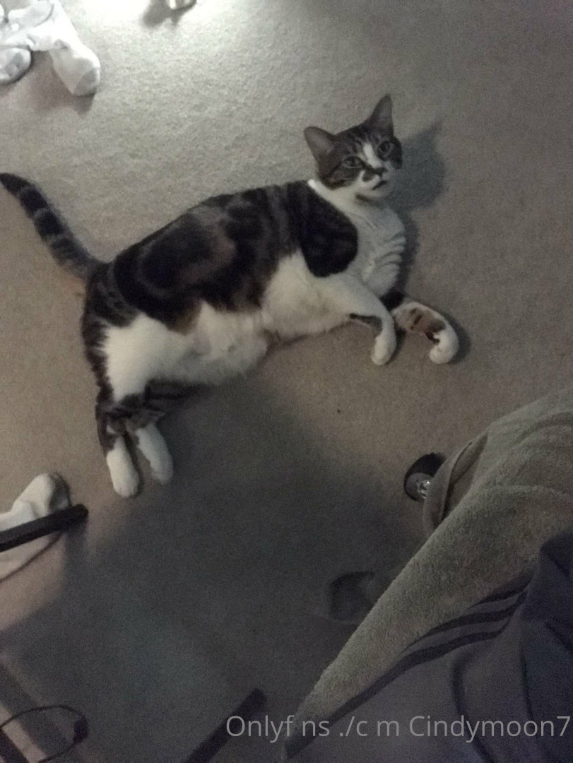 Photo by cindymoon7 published on January 12,2024 03:26:58 - BestThots