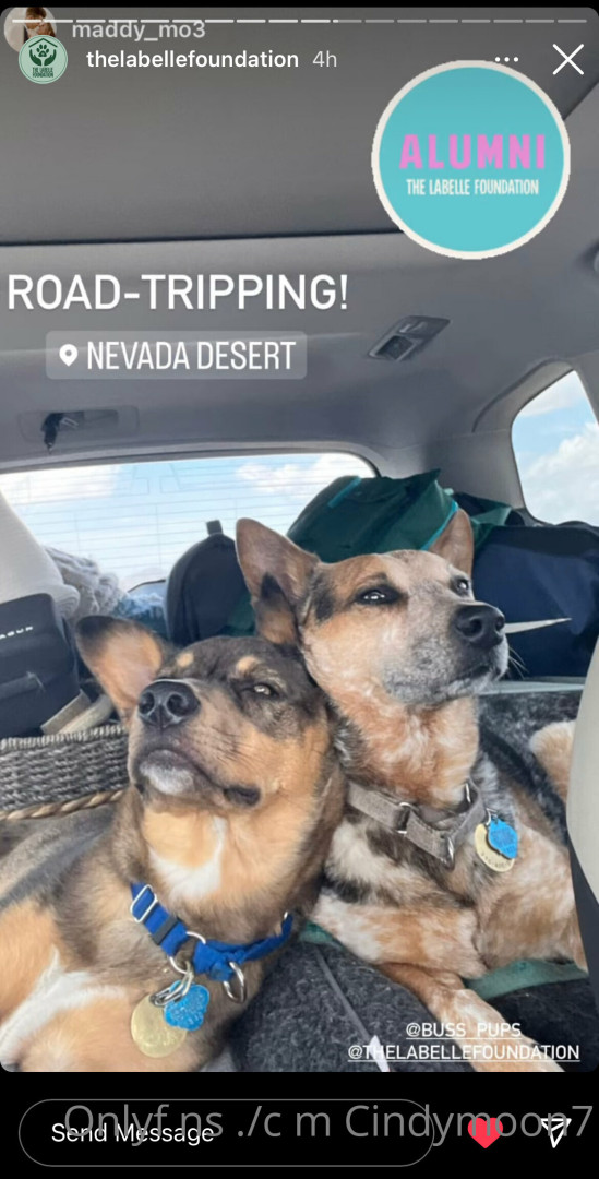 Photo by cindymoon7 published on January 12,2024 03:27:09 - BestThots