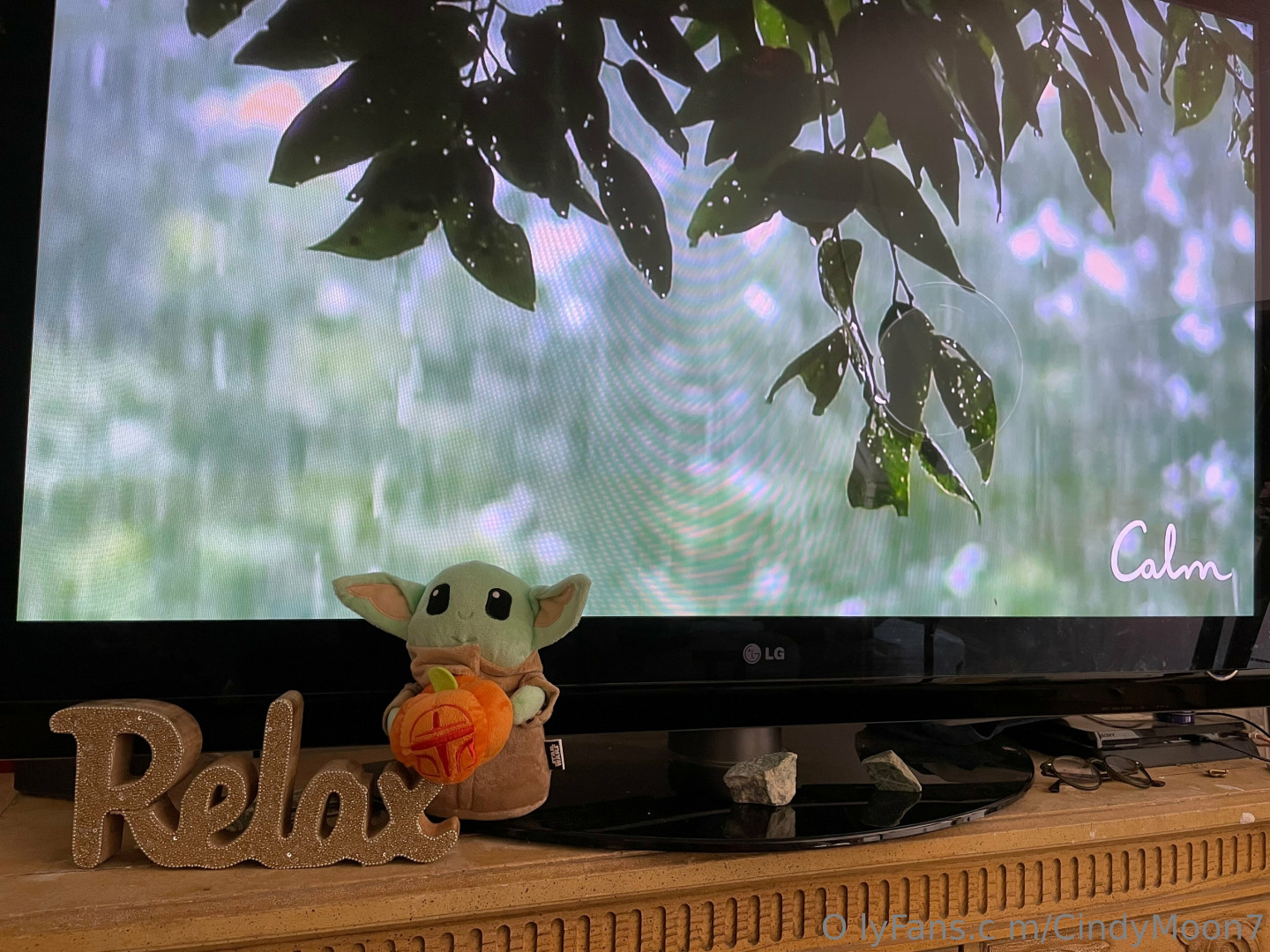 Photo by cindymoon7 published on January 12,2024 03:27:31 - BestThots