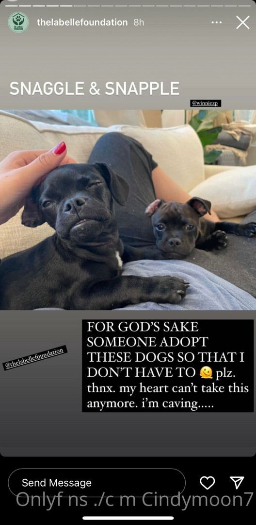 Photo by cindymoon7 published on January 12,2024 03:27:37 - BestThots