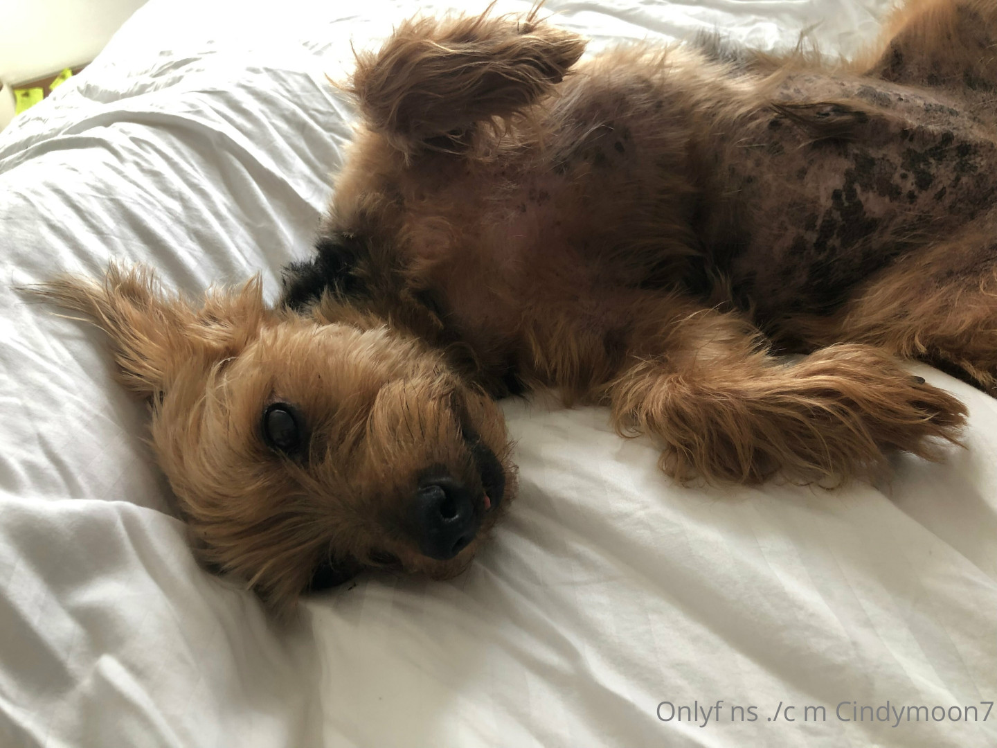 Photo by cindymoon7 published on January 12,2024 03:28:17 - BestThots