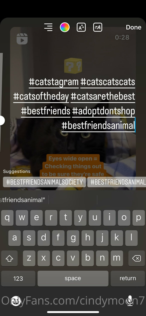 Photo by cindymoon7 published on January 12,2024 03:29:11 - BestThots