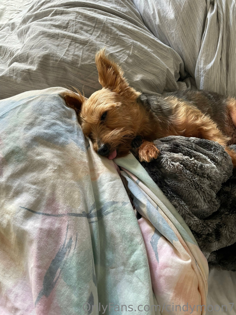 Photo by cindymoon7 published on January 12,2024 03:29:13 - BestThots