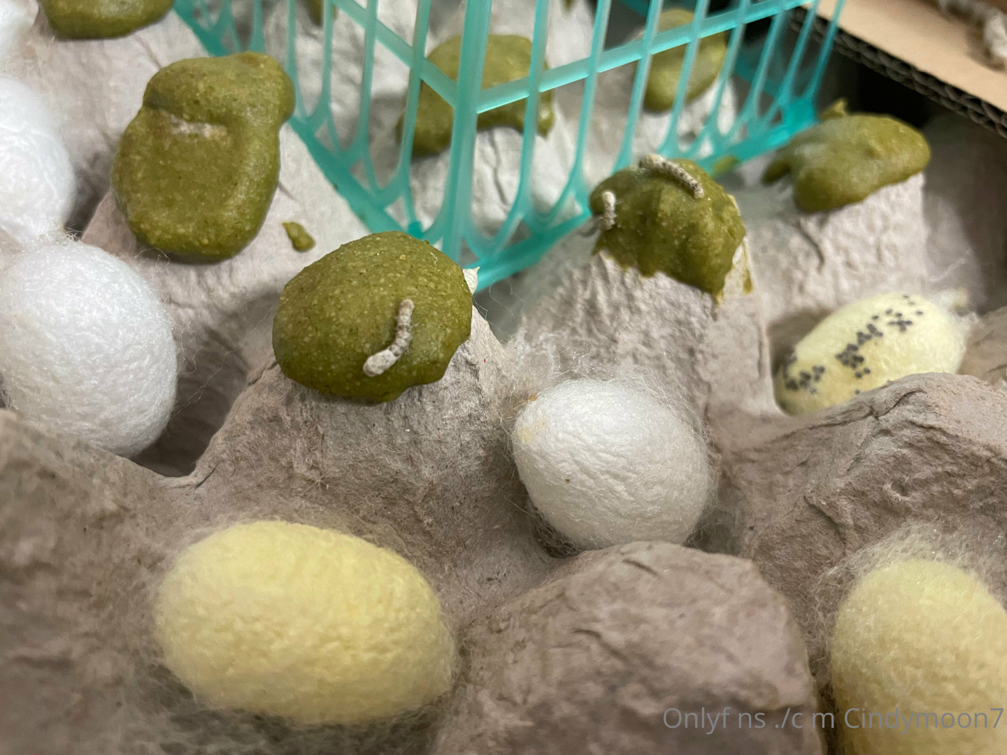 Photo by cindymoon7 published on January 12,2024 03:29:17 - BestThots