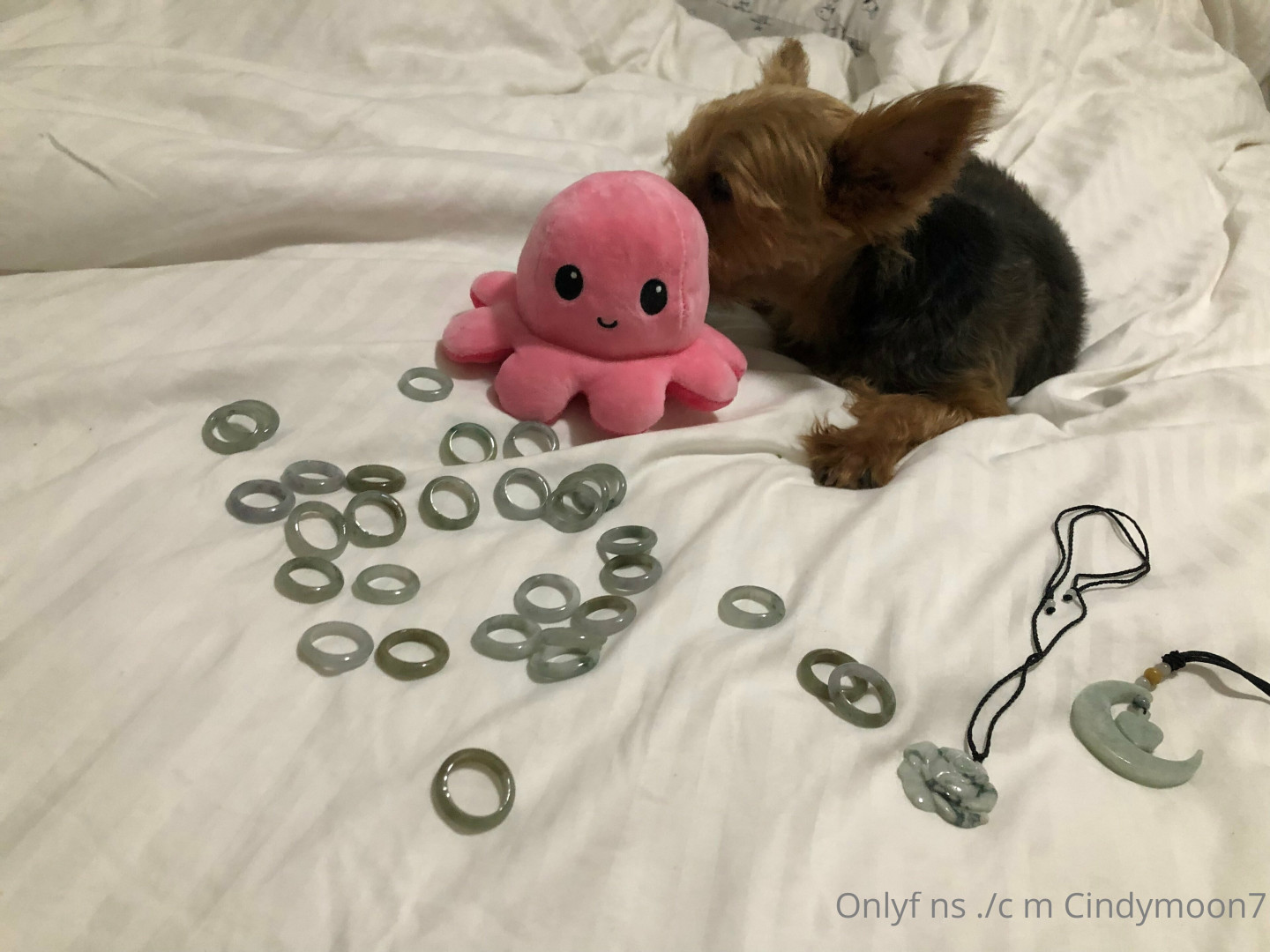 Photo by cindymoon7 published on January 12,2024 03:29:49 - BestThots