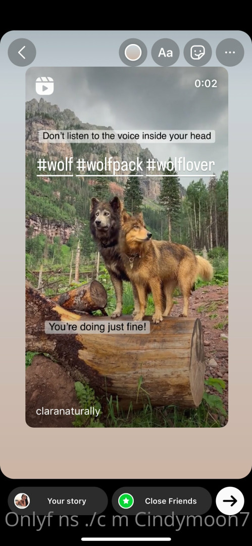 Photo by cindymoon7 published on January 12,2024 03:29:55 - BestThots