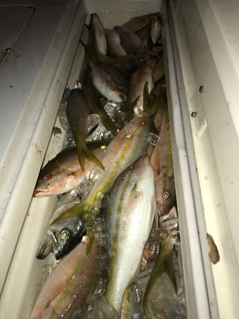 Photo by jmac1864 published on August 7,2023 10:49:24 - BestThots