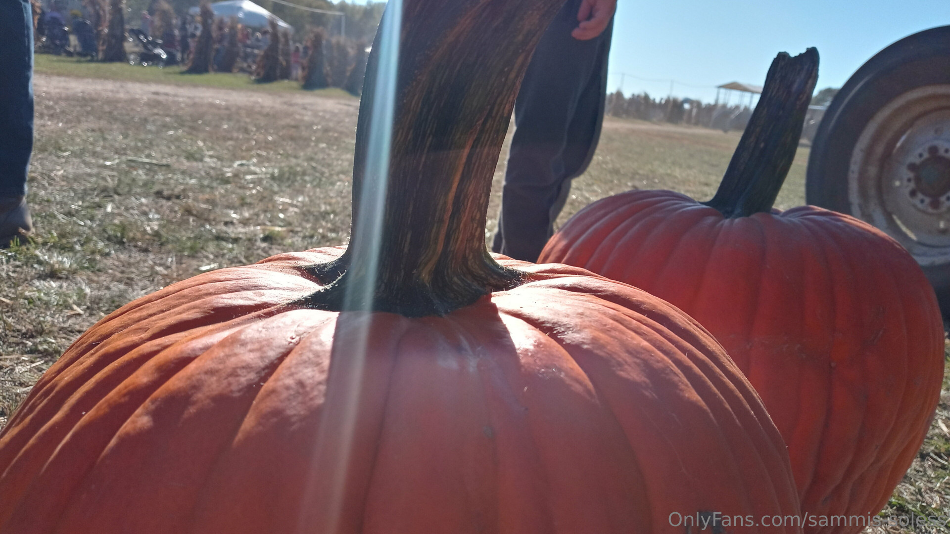 Photo by sammis-soless published on June 5,2023 16:11:11 - BestThots