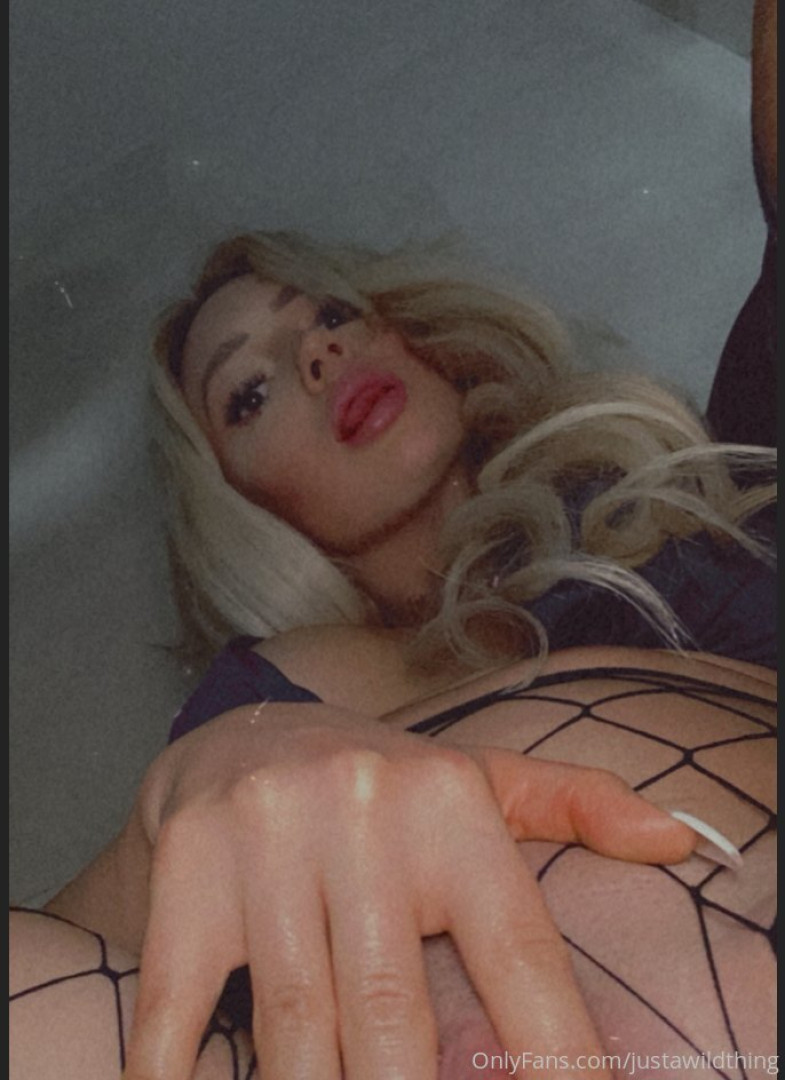 Photo by justawildthing published on June 27,2023 06:14:42 - BestThots