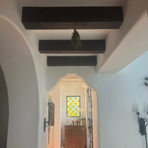 xxxsavannahsixx #27401