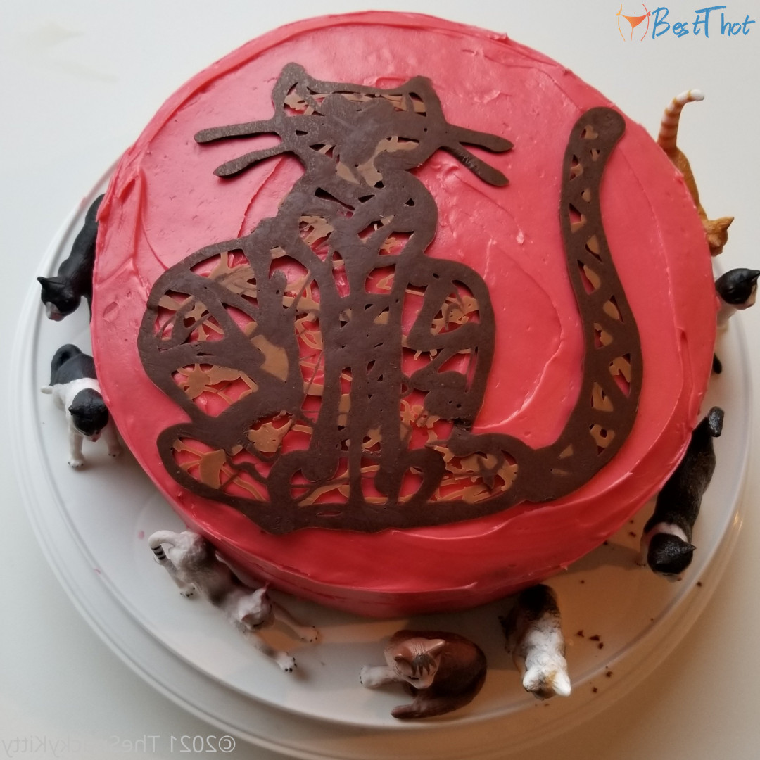 thesnackykitty #9582046
