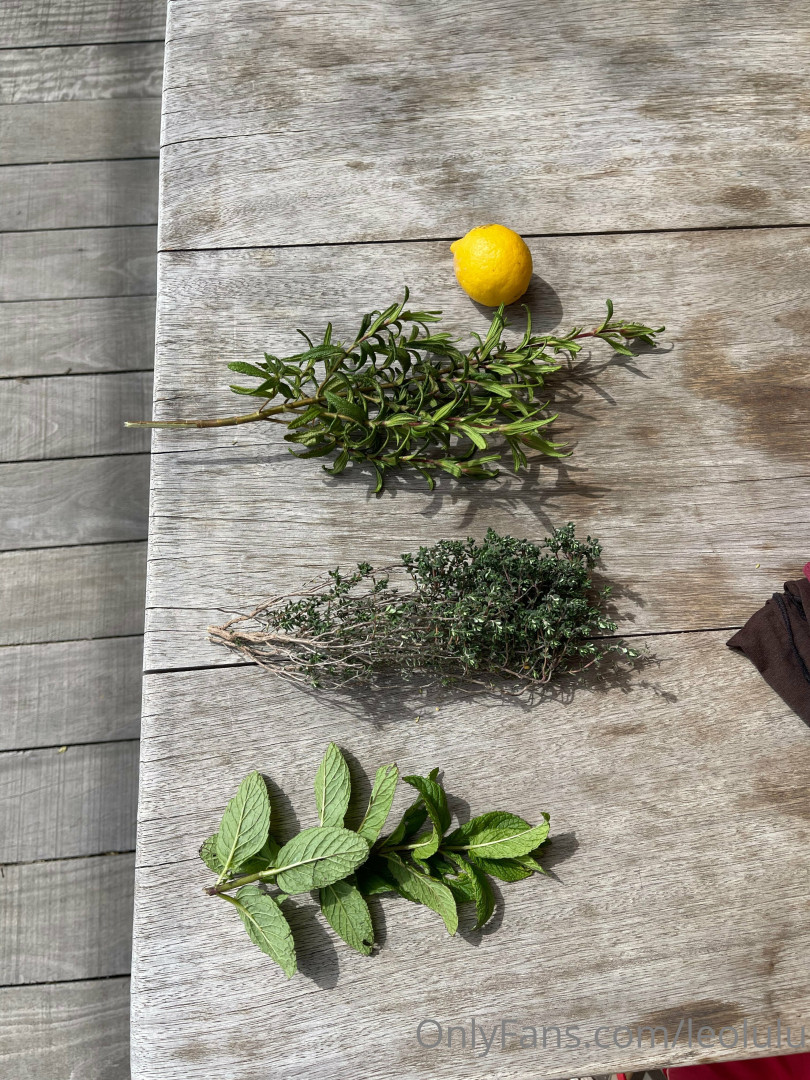 Photo by leolulu published on August 27,2023 11:49:15 - BestThots