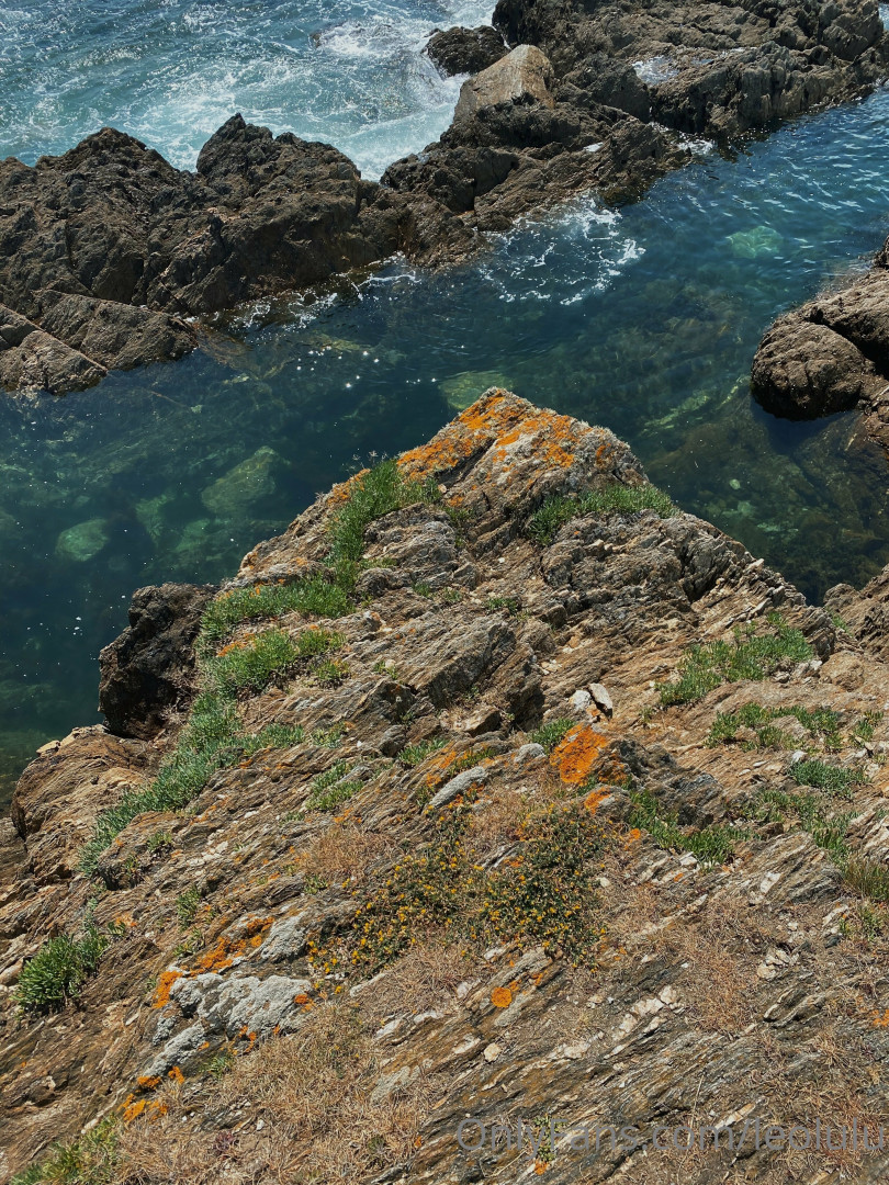 Photo by leolulu published on August 27,2023 12:25:21 - BestThots