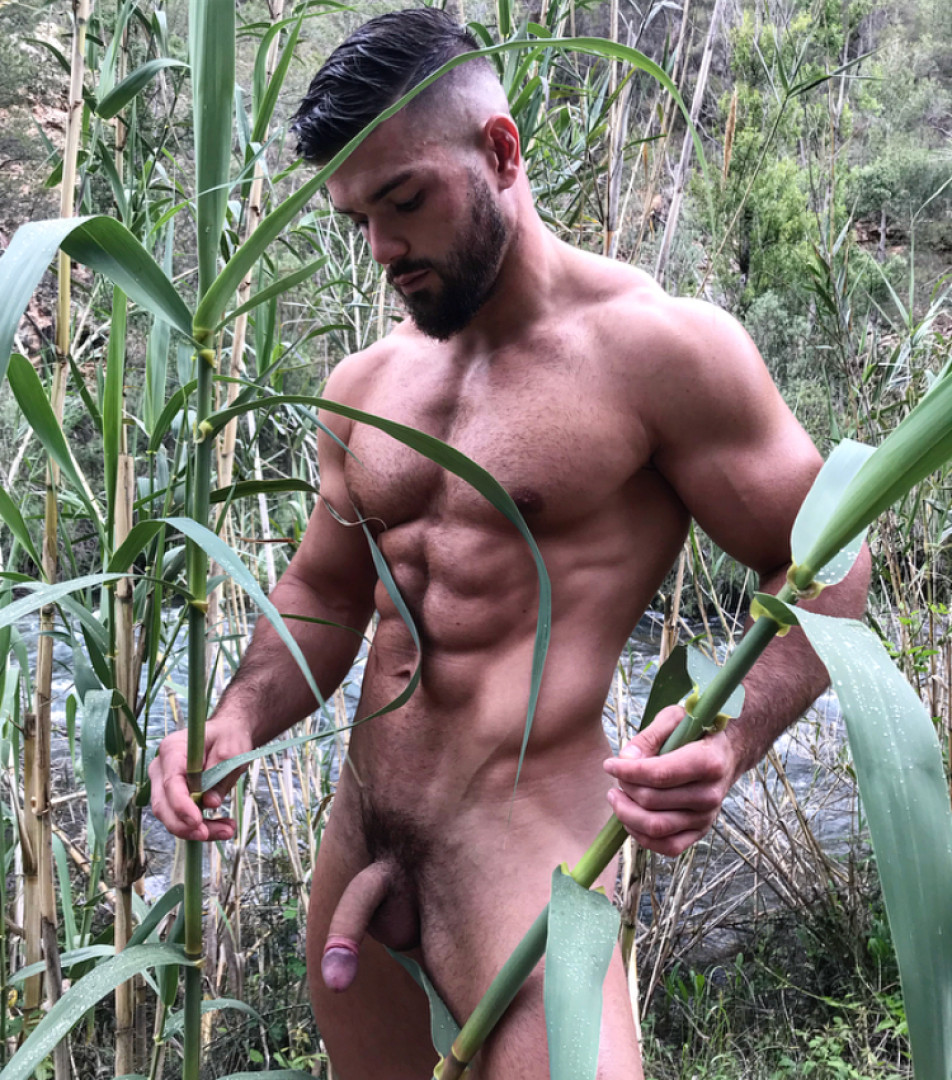 Photo by fabien26218780 published on October 16,2023 09:31:24 - BestThots