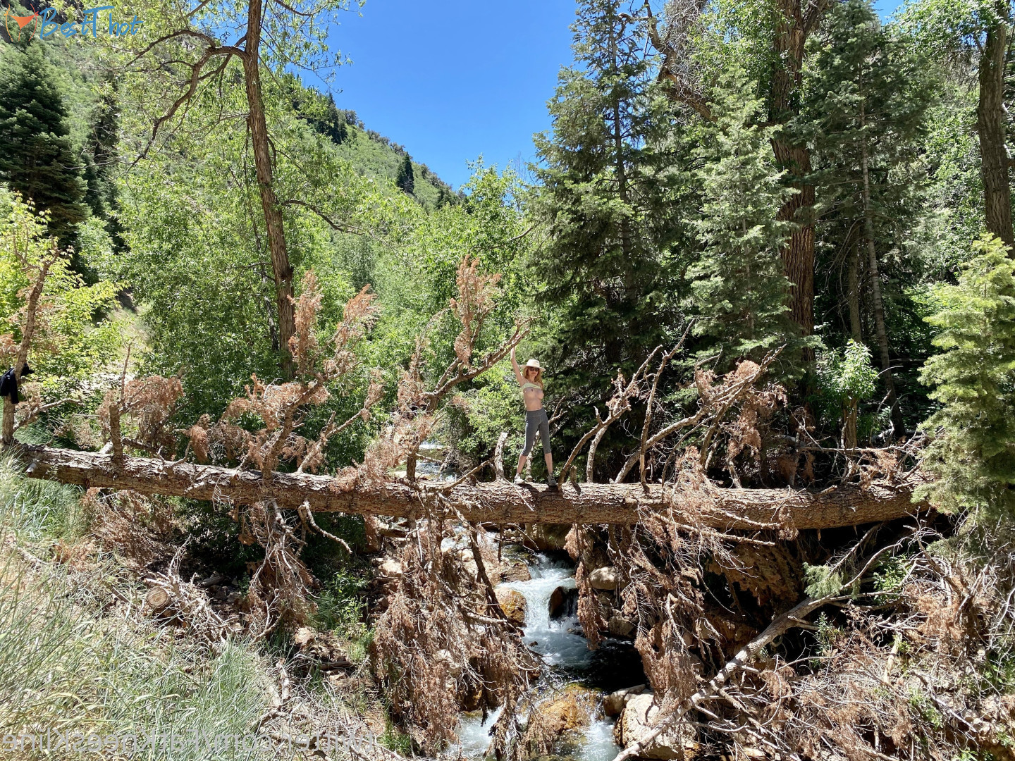 thot_thoughts #9470343