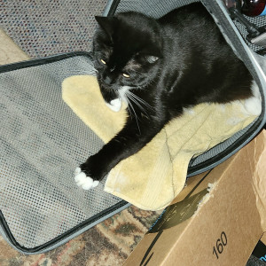 accidentallydelicious #6643004