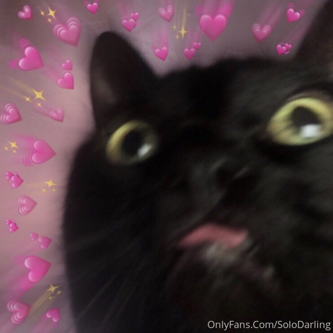 Photo by solodarling published on May 17,2023 19:13:11 - BestThots