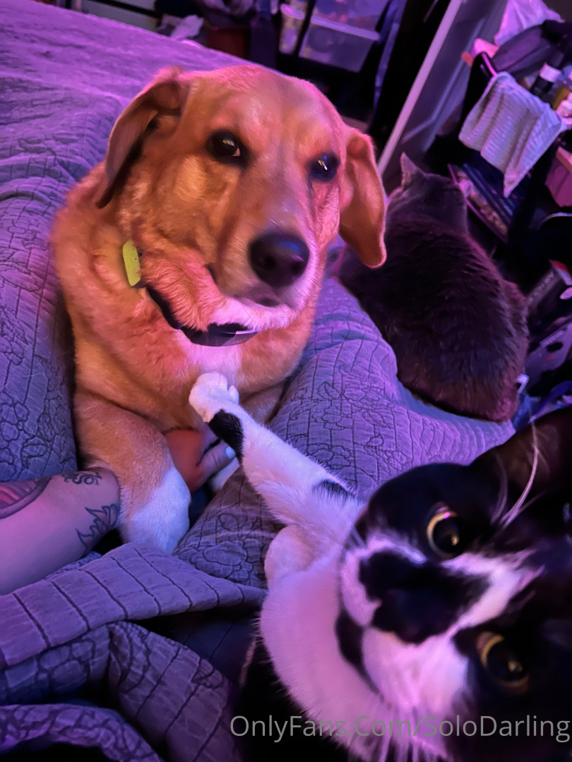 Photo by solodarling published on May 17,2023 19:19:50 - BestThots