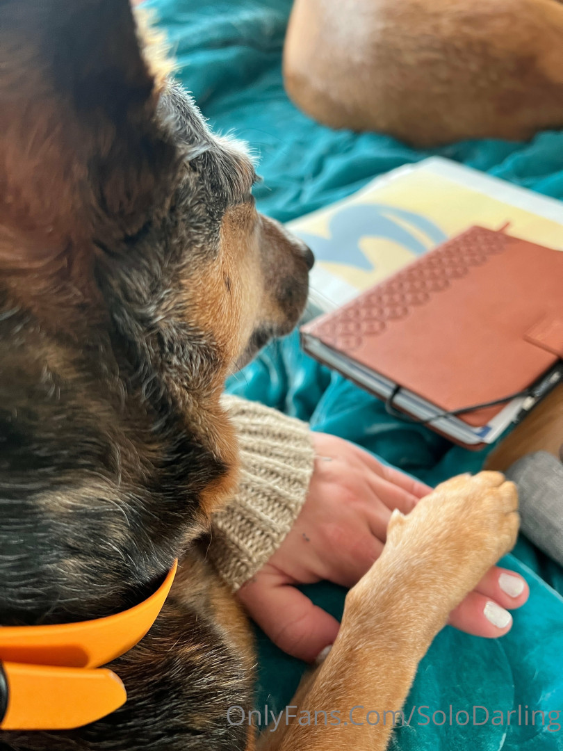 Photo by solodarling published on May 17,2023 19:20:58 - BestThots