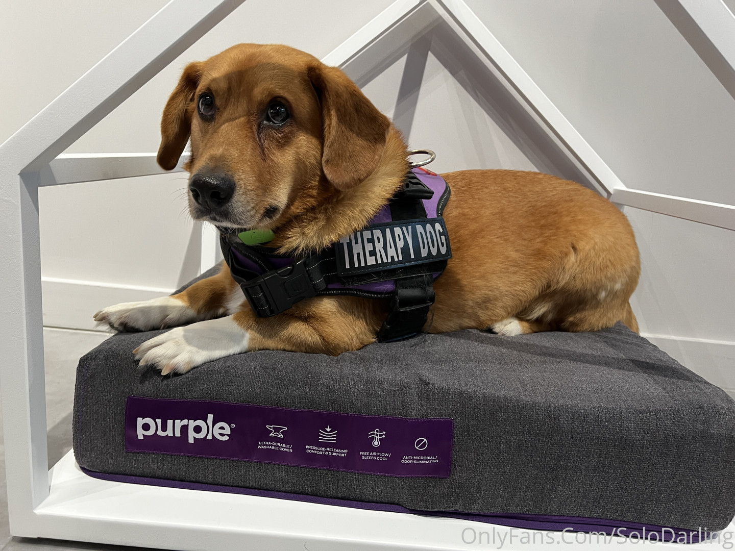 Photo by solodarling published on May 17,2023 19:21:02 - BestThots