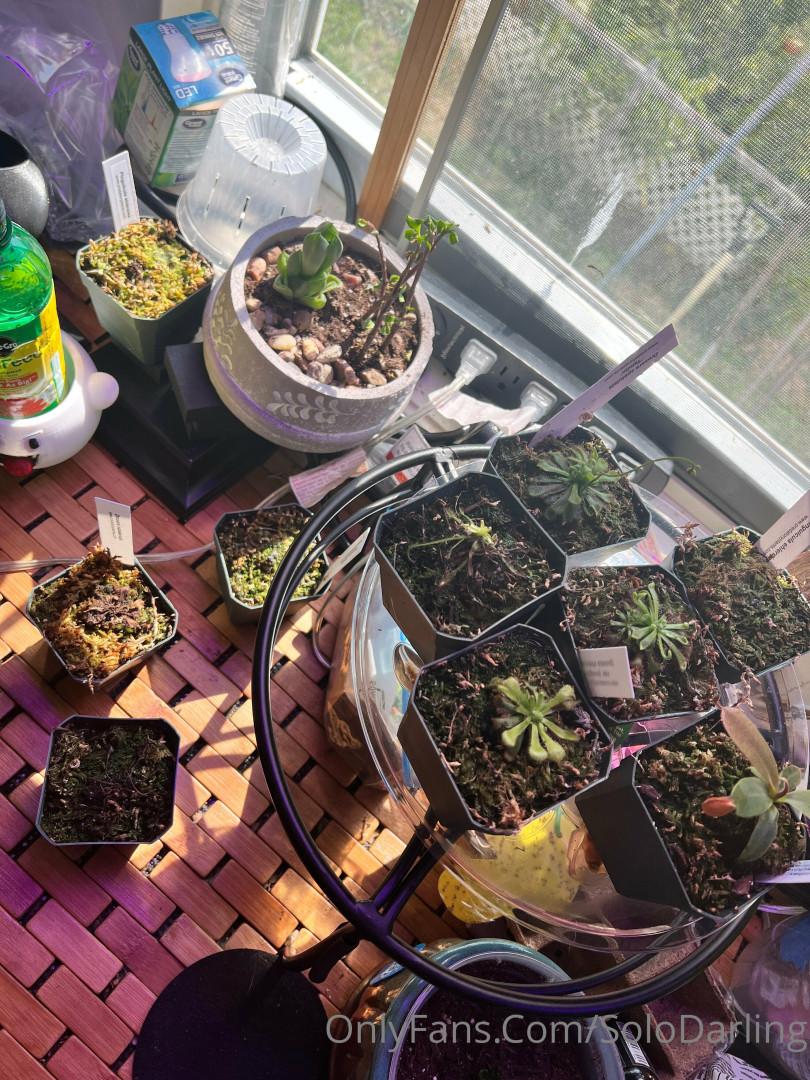 Photo by solodarling published on May 17,2023 19:23:33 - BestThots