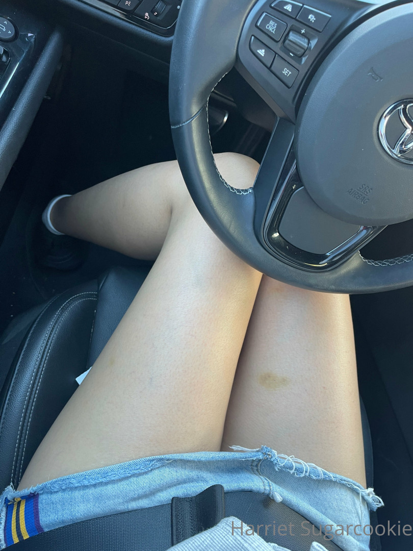 Photo by harrietsugarcookie published on August 30,2023 09:08:55 - BestThots