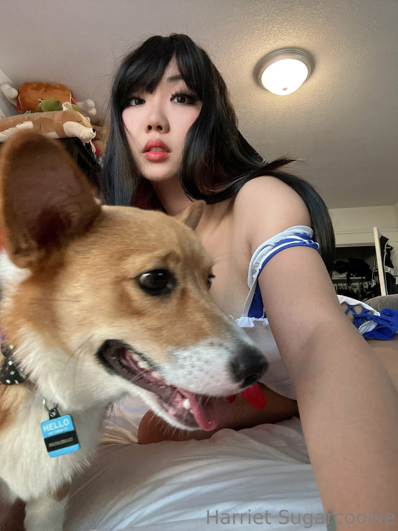 Photo by harrietsugarcookie published on August 30,2023 10:14:46 - BestThots