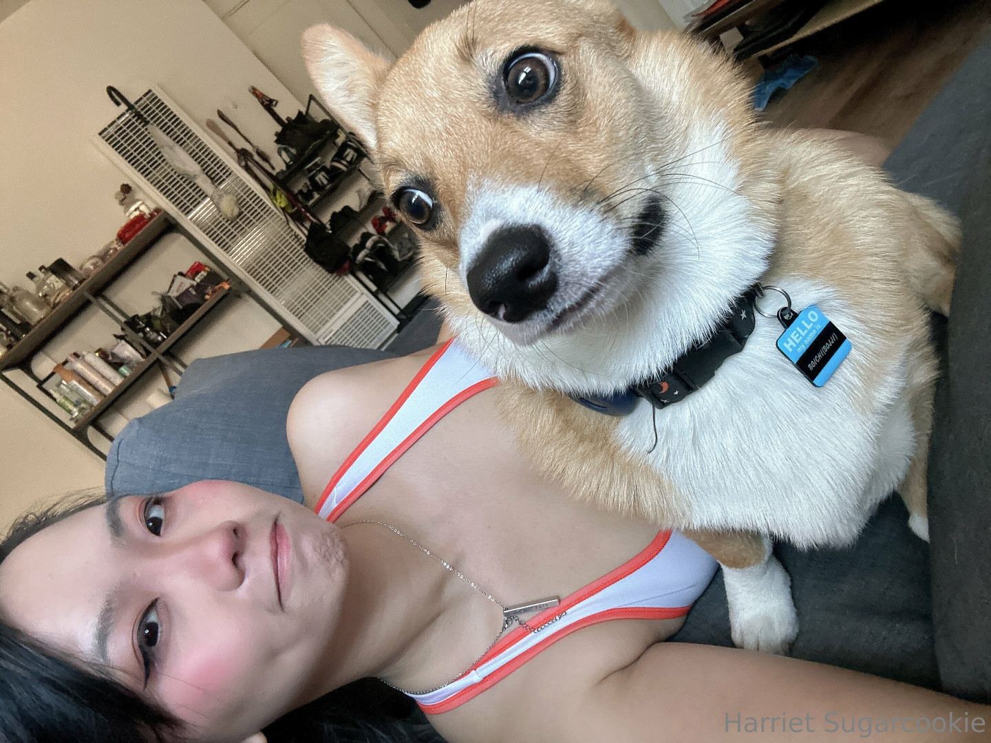 Photo by harrietsugarcookie published on August 30,2023 10:51:06 - BestThots