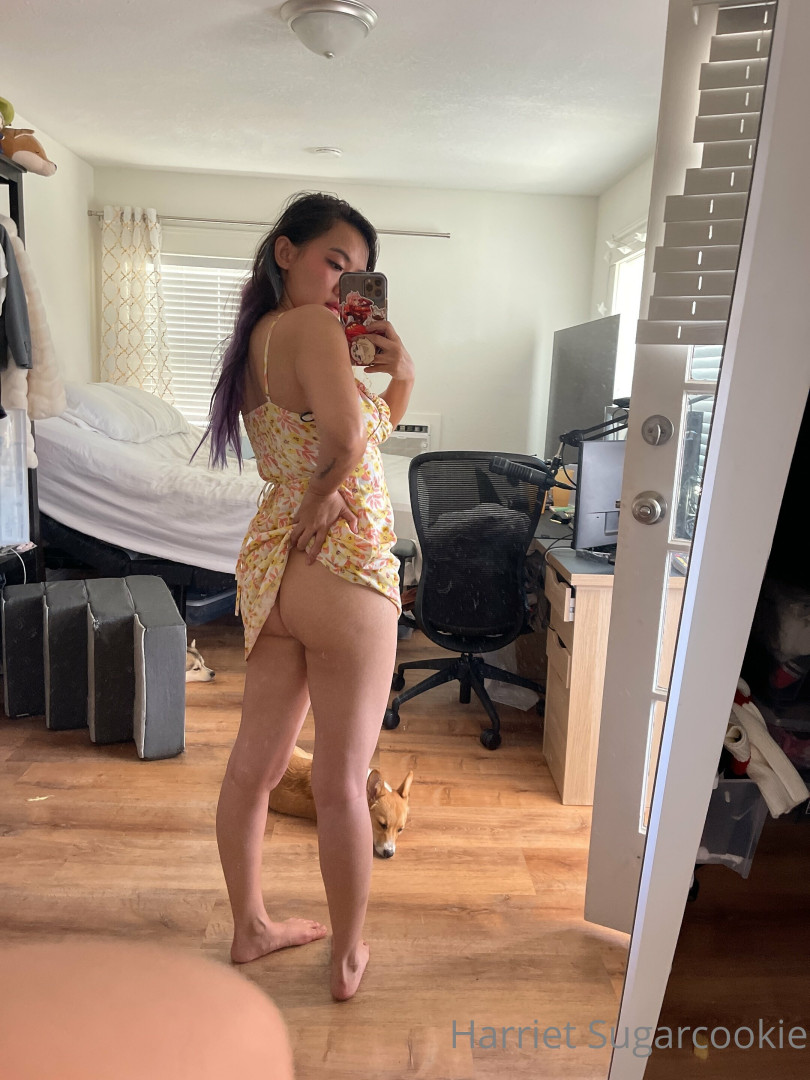 Photo by harrietsugarcookie published on August 30,2023 11:32:32 - BestThots