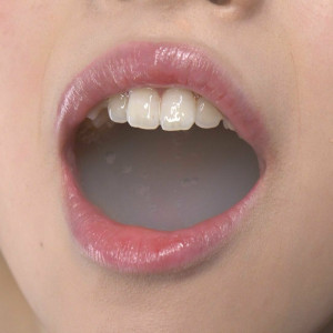 milkycatcom #2720033