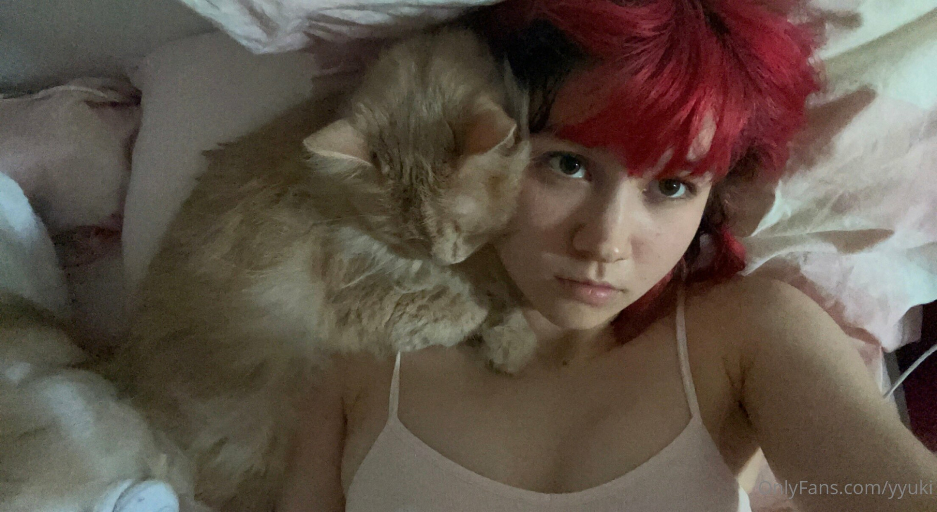 Photo by ywuuki published on May 15,2023 16:46:12 - BestThots