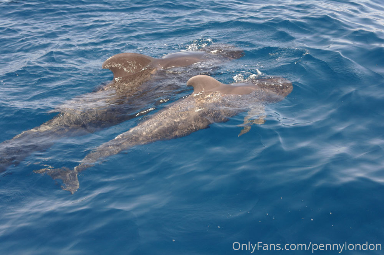 Photo by pennylondon published on October 16,2023 18:35:06 - BestThots