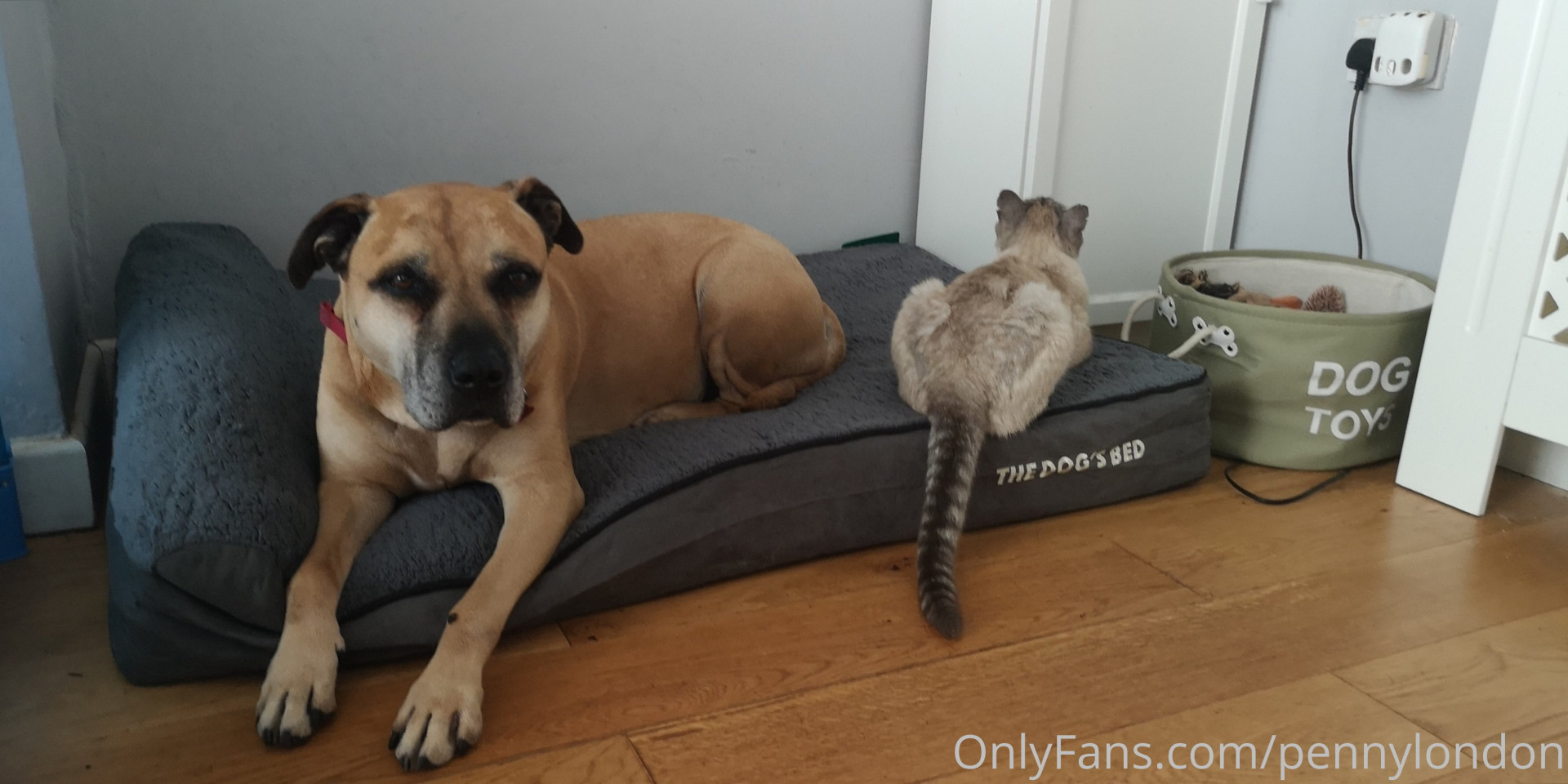 Photo by pennylondon published on October 16,2023 18:35:43 - BestThots