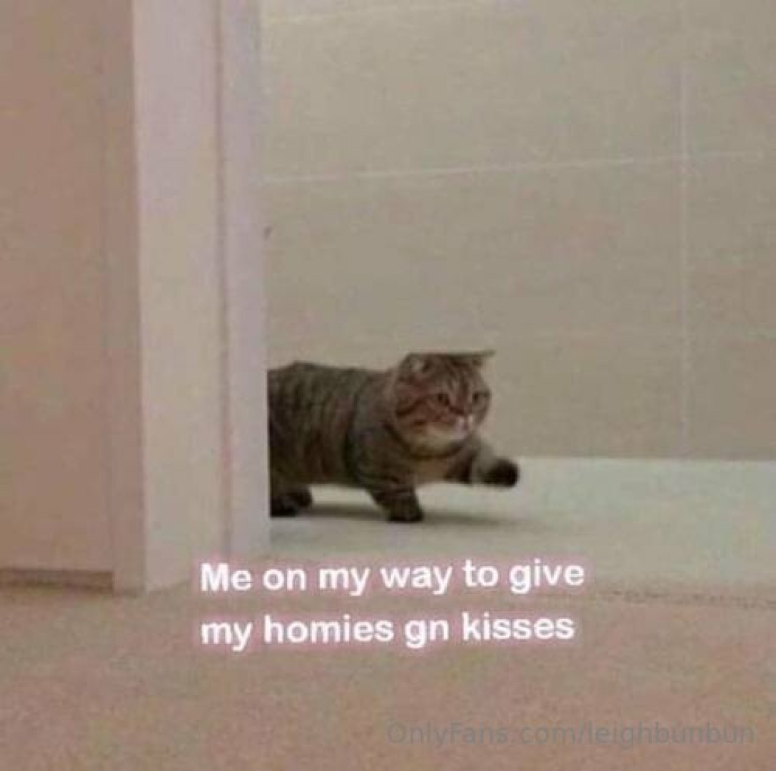 Photo by leighbunbun published on June 7,2023 23:37:19 - BestThots