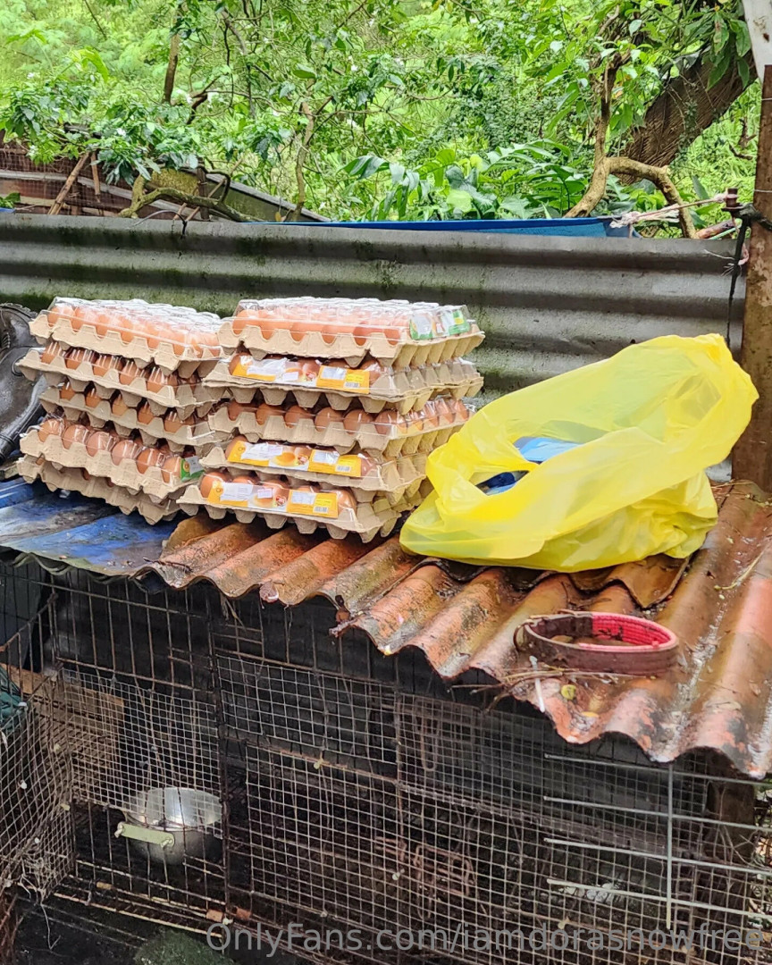 Photo by iamdorasnowfree published on August 1,2023 16:58:25 - BestThots