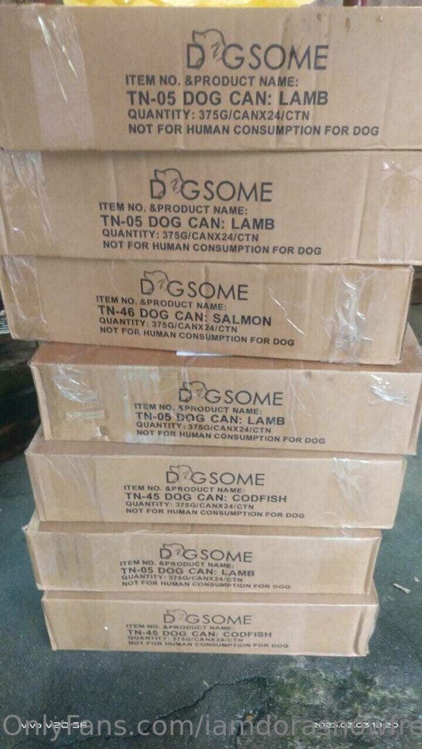 Photo by iamdorasnowfree published on August 1,2023 16:59:06 - BestThots