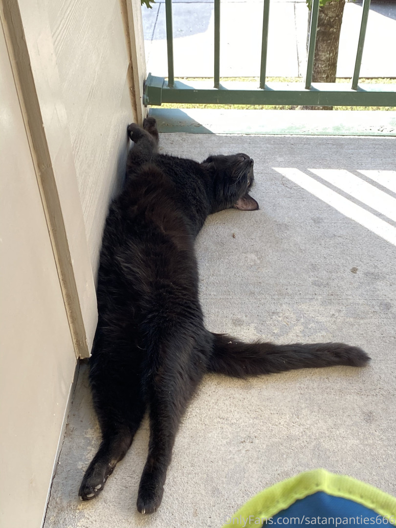 Photo by satanpanties666 published on August 2,2023 21:20:13 - BestThots