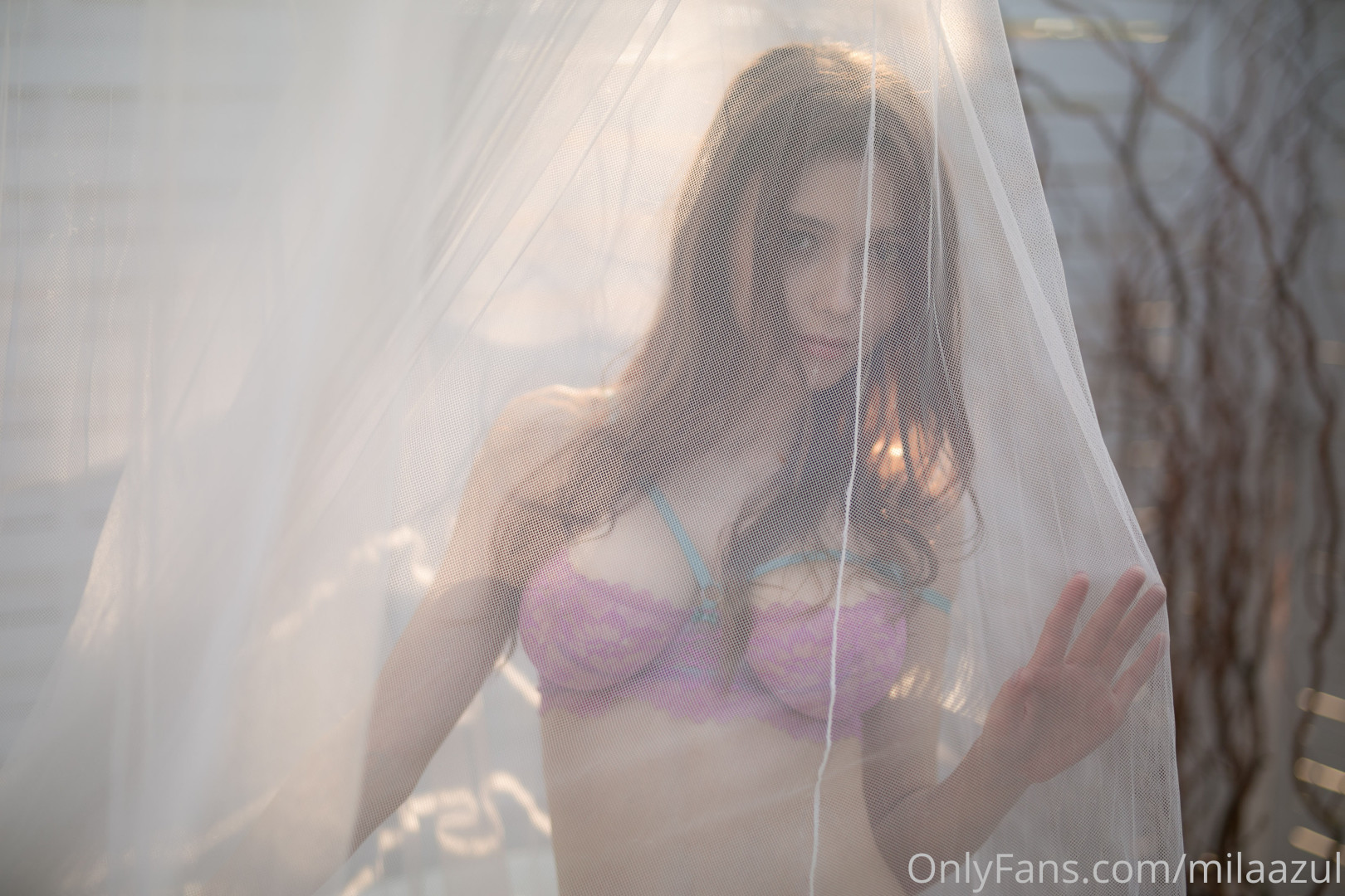 Photo by milaazul published on August 22,2023 07:47:47 - BestThots