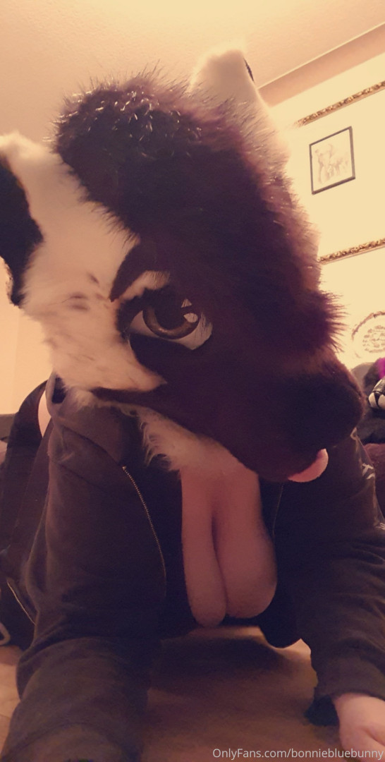 Photo by all.the.fluffies published on November 20,2023 05:42:06 - BestThots