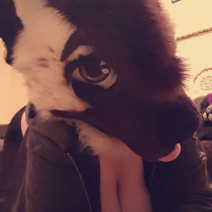 all.the.fluffies #8375949