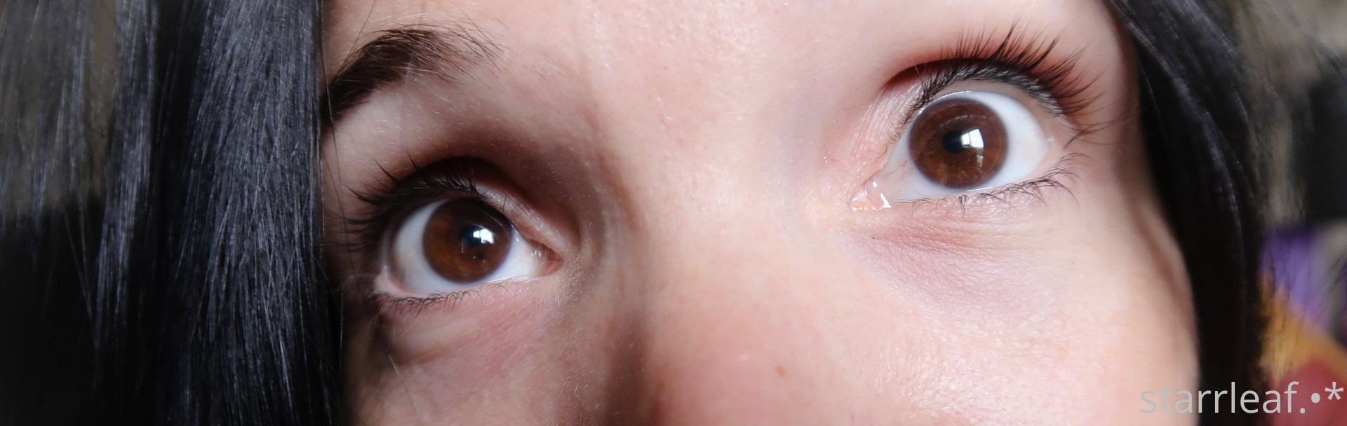 Photo by starrleaf published on May 17,2023 16:36:51 - BestThots