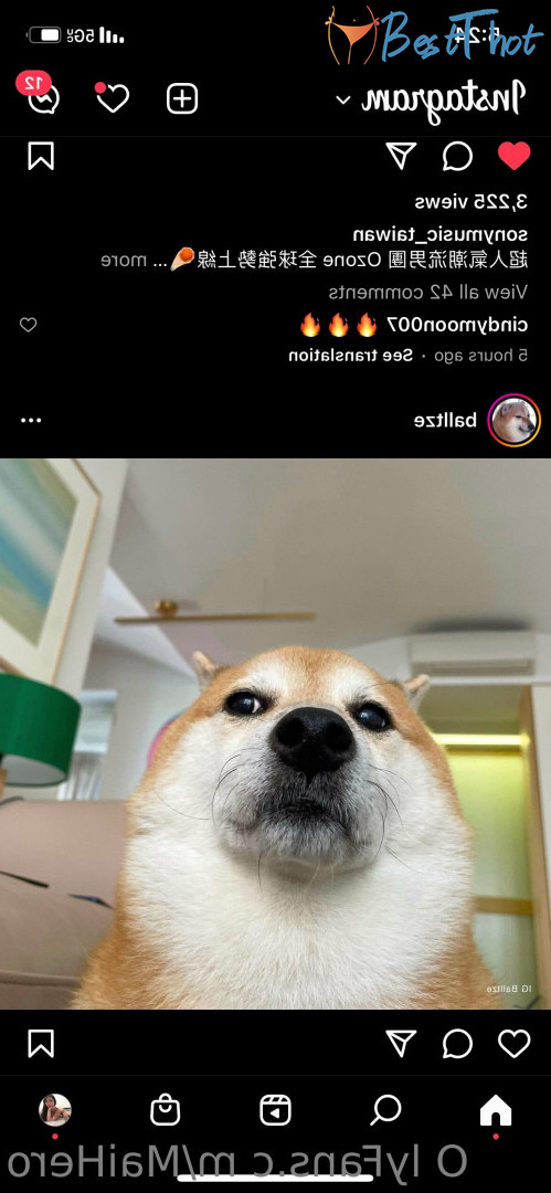 Photo by maihero published on December 13,2024 18:04:42 - BestThots
