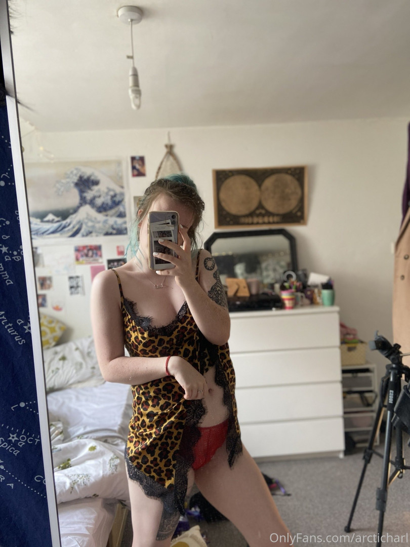 Photo by arcticharl published on November 24,2023 11:36:10 - BestThots